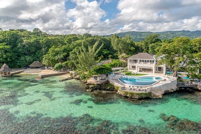 Artwood reef Jamaica