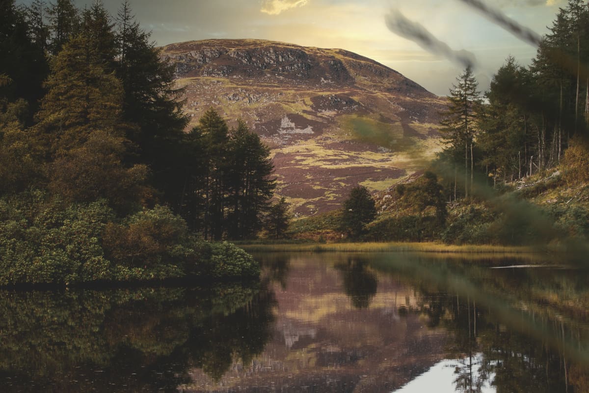 Cairngorms Cottage United Kingdom