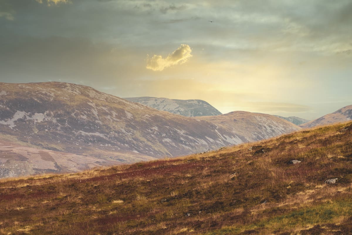 Cairngorms Cottage United Kingdom