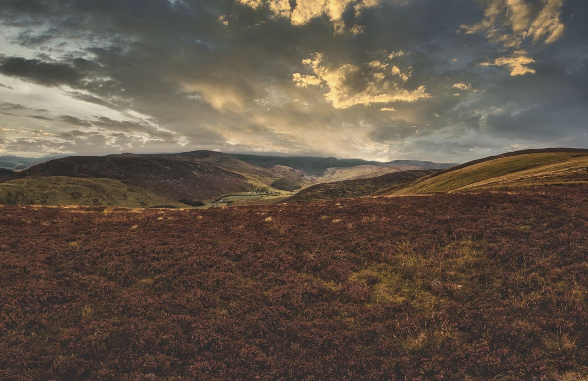 Cairngorms Cottage United Kingdom