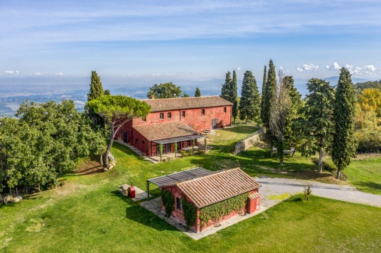 Celestial Rose Italy