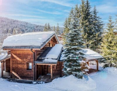 Chalet Cedar France