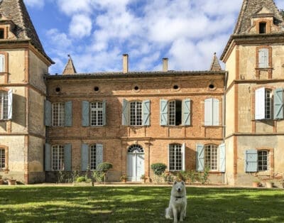 Chateau De La Chasse France