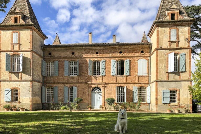Chateau De La Chasse France