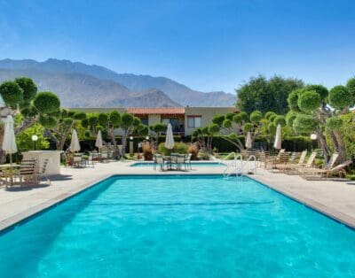 Rent Apartment Blush Spruce Palm Springs