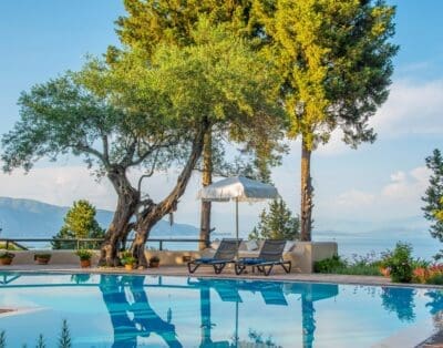 Rent Apartment Burgundy Larkspur Corfu