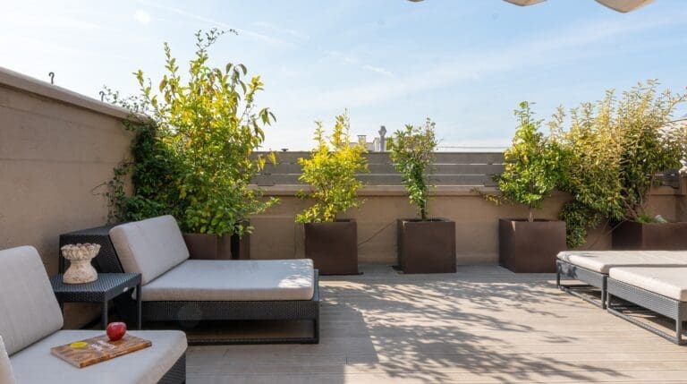 Rent Apartment Cardinal Plantain Eixample