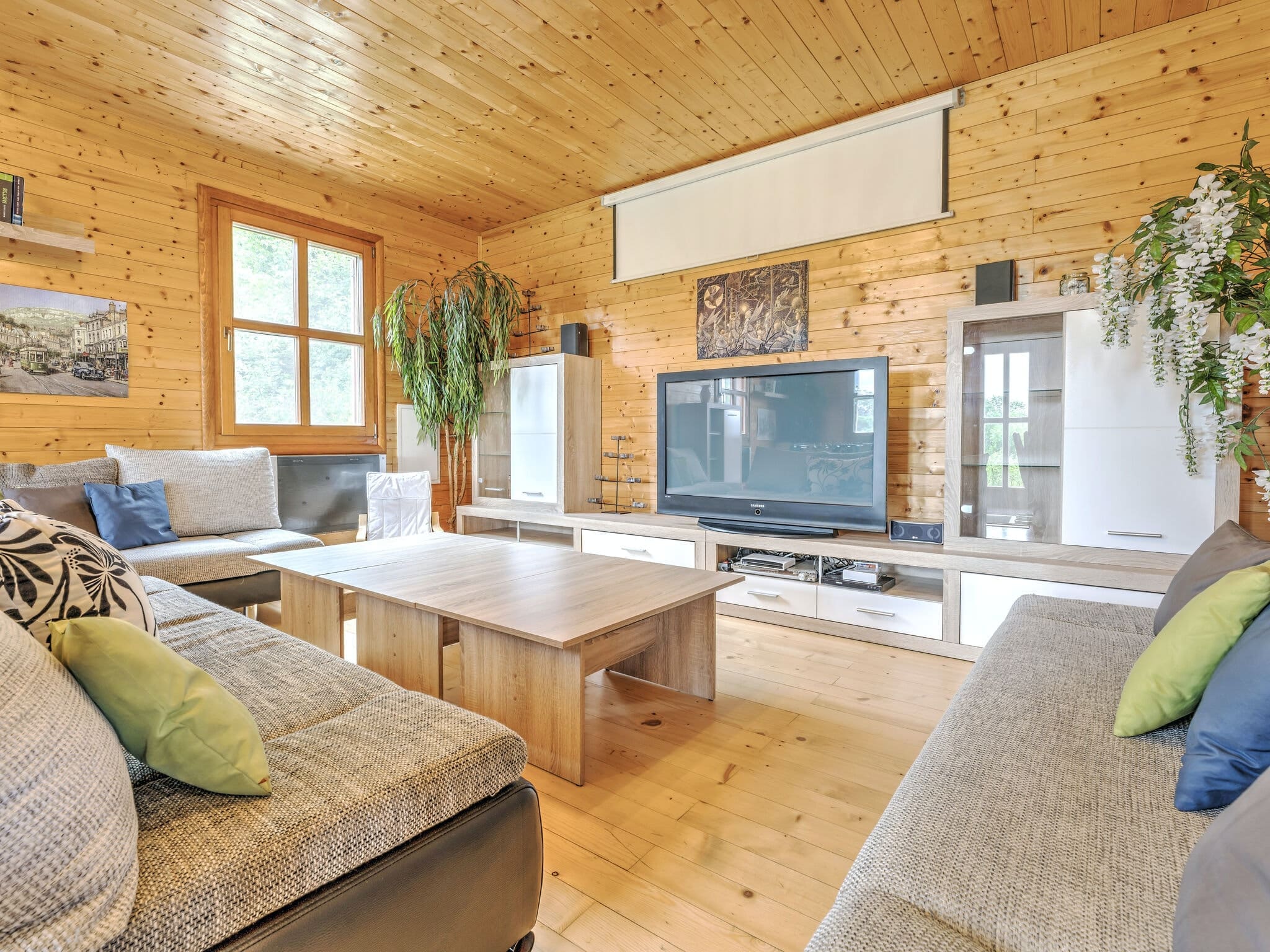 Rent Apartment Cocoa Staghorn Austria