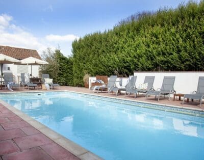 Rent Apartment Cornflower Beam Somerset