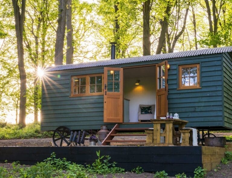 Rent Apartment Dandelion Kosipo Chiltern Hills