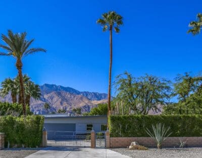 Rent Apartment Fuzzy Kurrajong Palm Springs