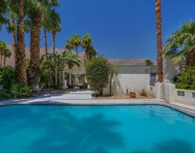 Rent Apartment Hunter Breadnut Palm Springs