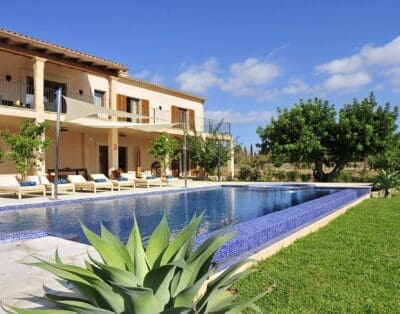 Rent Apartment Manatee Papyrus Mallorca