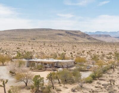 Rent Apartment Salsa Carnation Joshua Tree National Park