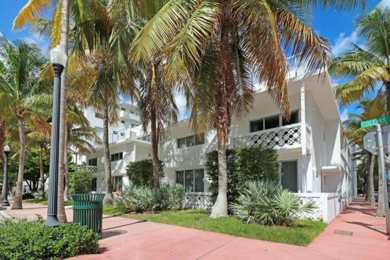Rent Apartment Sepia Flowers South Beach