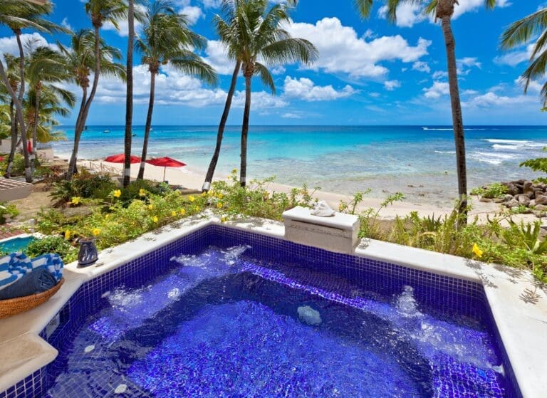 Rent Apartment Shipshape Sycamore