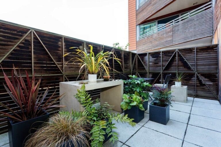 Rent Apartment Smokey Saltbush Edgware Road