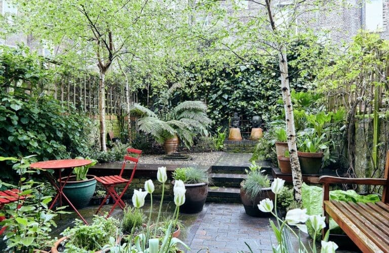 Rent Apartment Space Fourleaf Angel