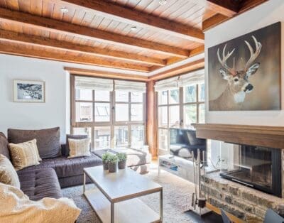 Rent Apartment Titanium Bark Val d’Aran