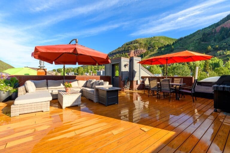 Rent Apartment Tulip Moluccella Telluride