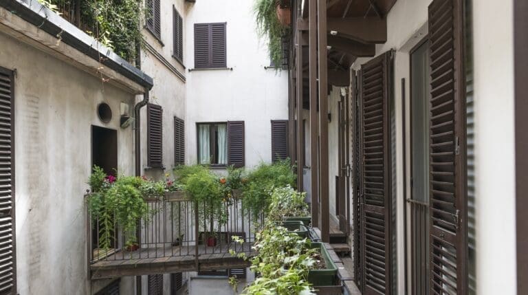 Rent Apartment Violet-Red Waxflower Porta Venezia