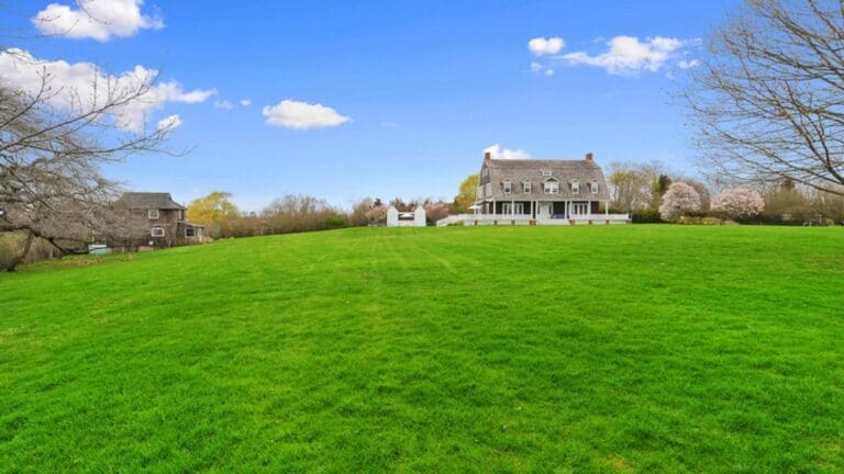 Rent Apartment Violet Safari The Hamptons