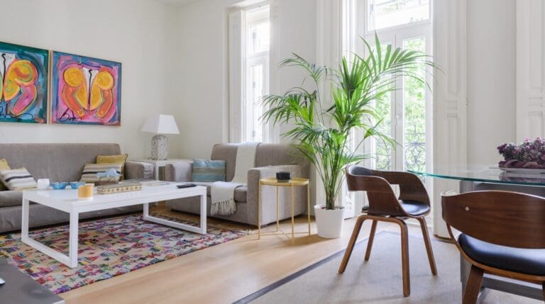 Rent Flat Pine Woolly Salamanca