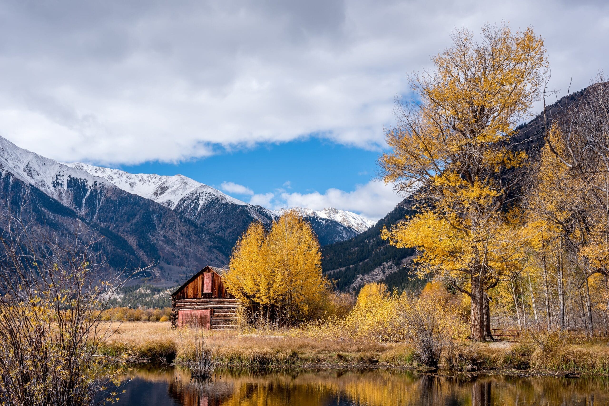 Rent Home Papaya Buckthorn Colorado