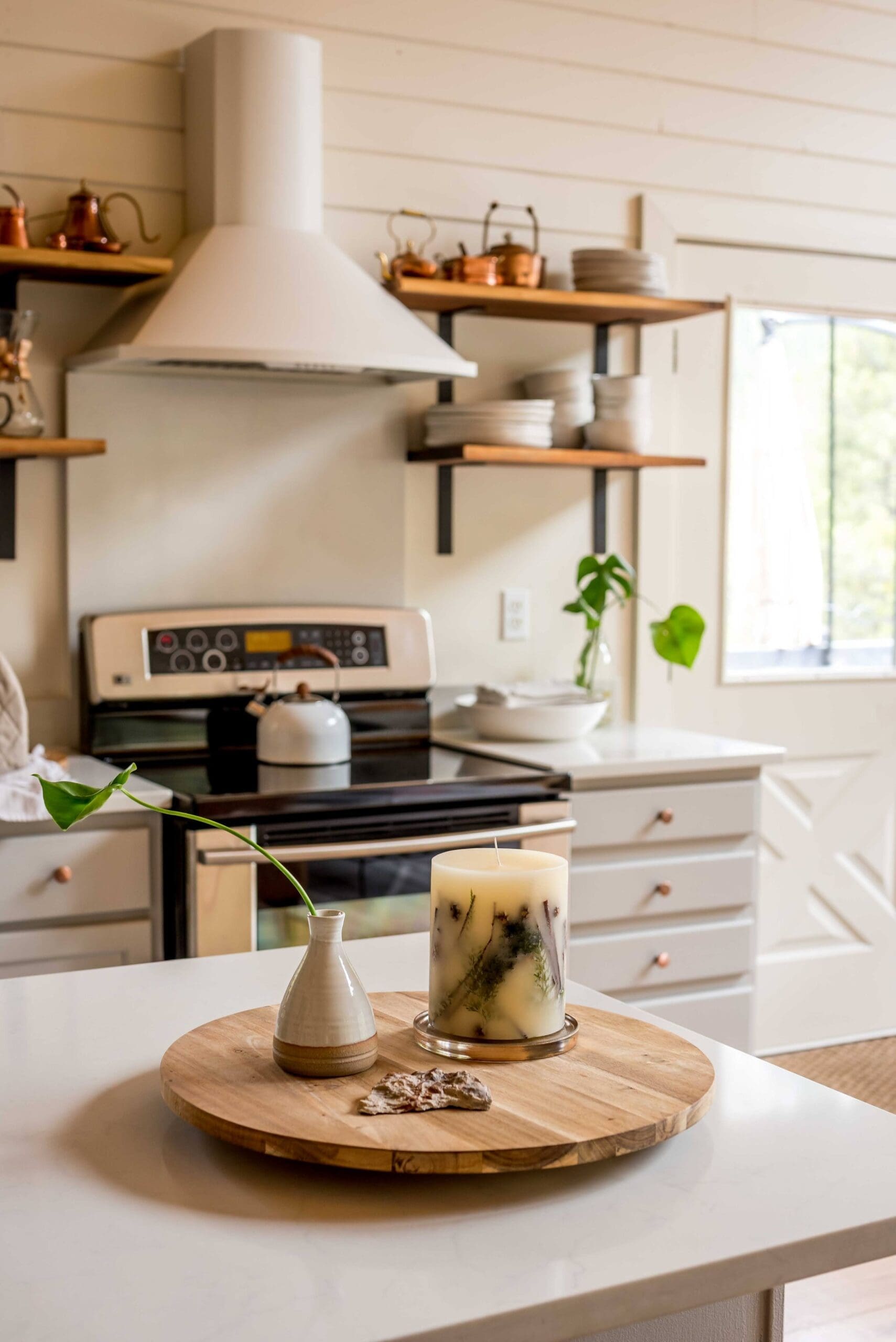 Rent Home Papaya Buckthorn Colorado