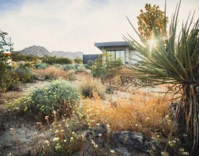 Rent House Hot Cotton Joshua Tree National Park