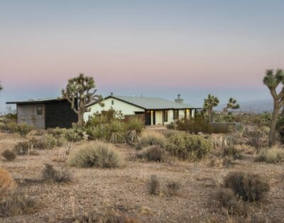 Rent House Lion Tambalacoque Joshua Tree National Park