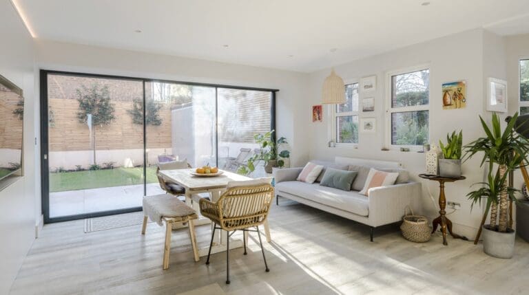 Rent House Orchid Limonium Wimbledon