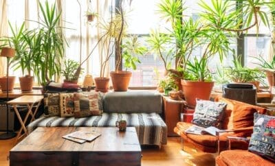 Rent Loft Feet Upside Down Lower East Side