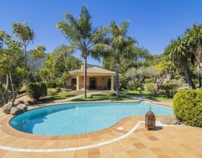 Rent Villa Carolina Nectarine Spain