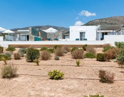 Rent Villa Coconut Amaranthus Paros