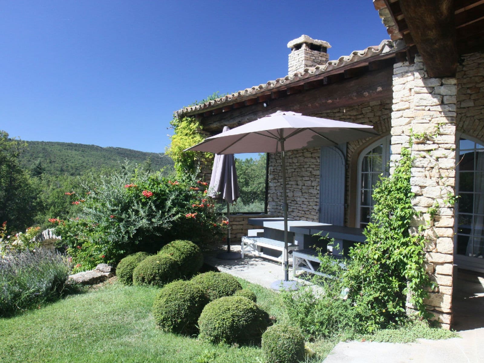 Rent Villa Coffee Staghorn Côte d’Azur