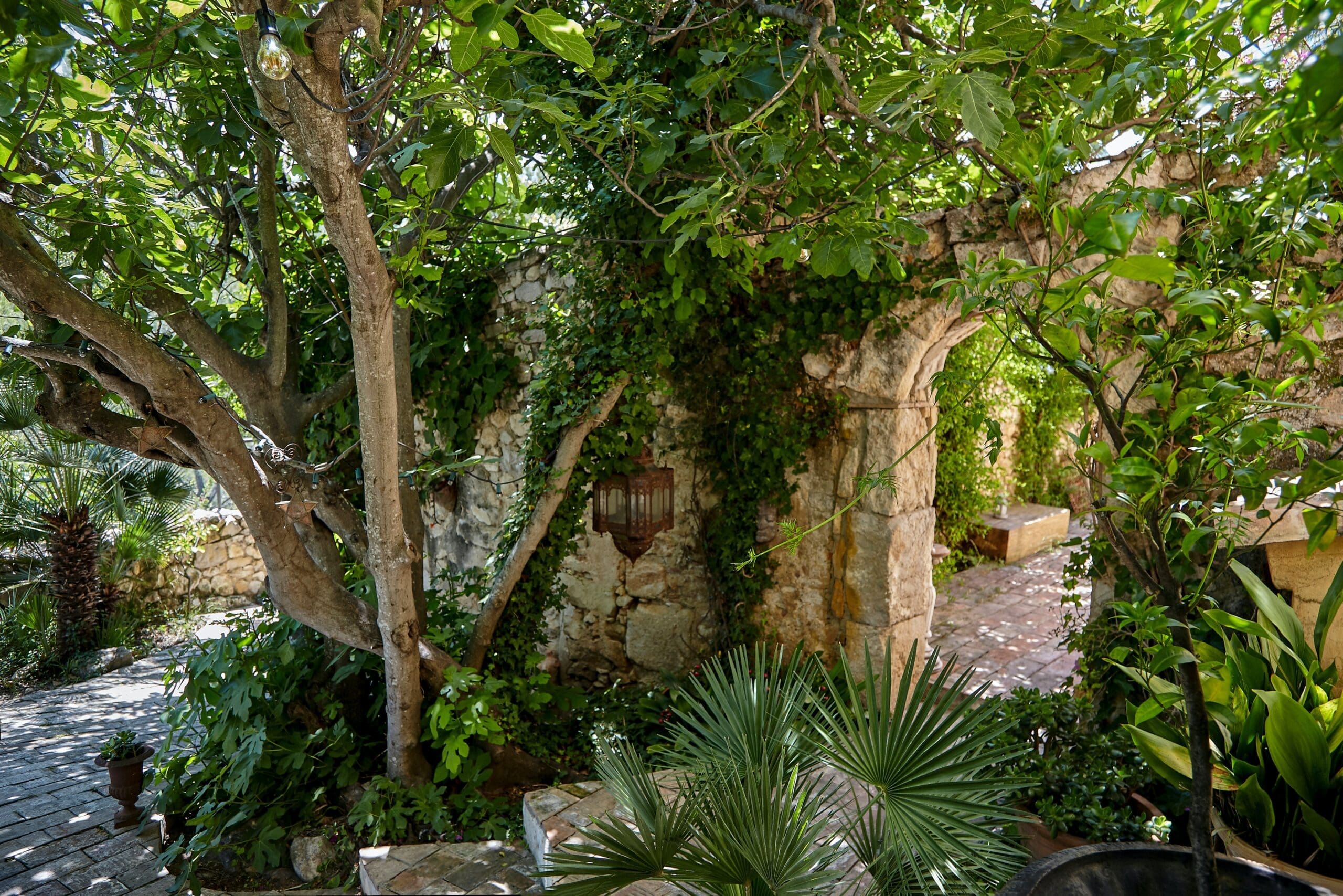 Rent Villa Cornflower Purpleheart Catalonia