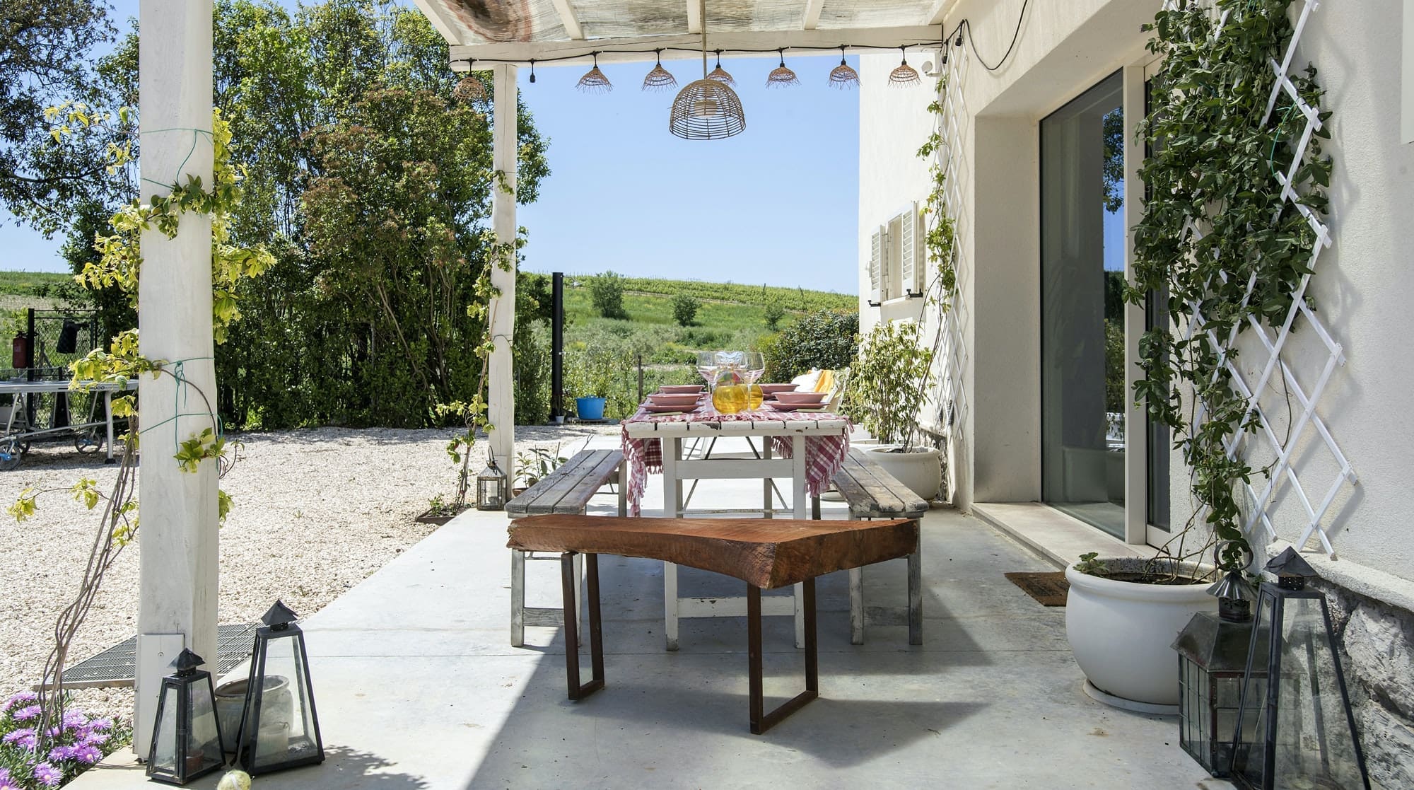 Rent Villa Isabelline Staghorn Tuscany