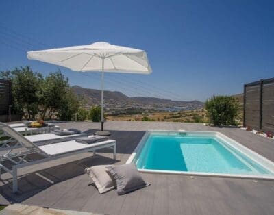 Rent Villa Lizard Camellia Paros