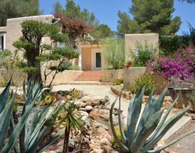 Rent Villa Sizzling Maua Ibiza