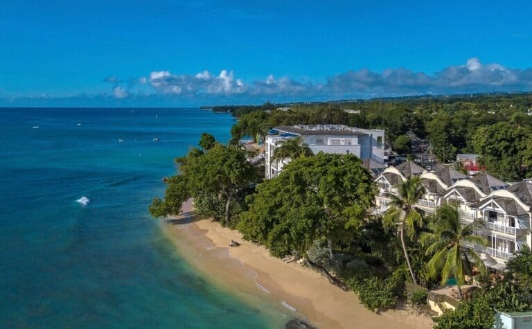 Seashells at Mahogany Bay Barbados