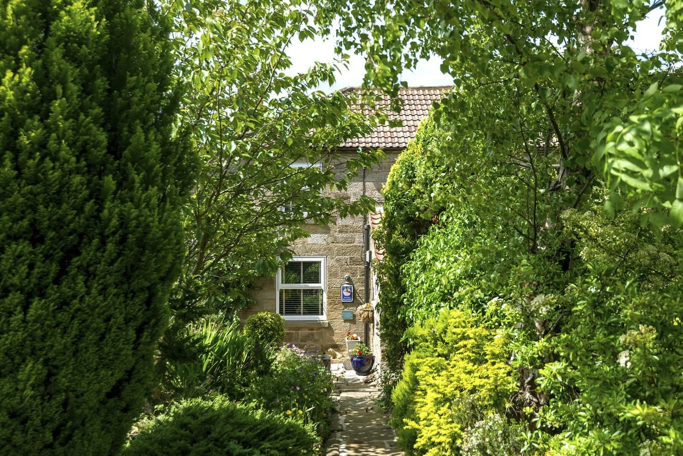 The Pig Cottage United Kingdom