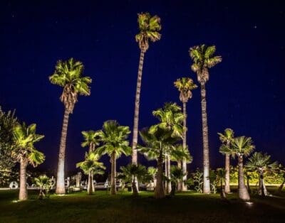 Villa Tameslouht Marrakesh