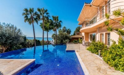 Alca Paradiso Spain