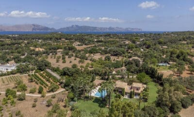Alcudia Relax Spain