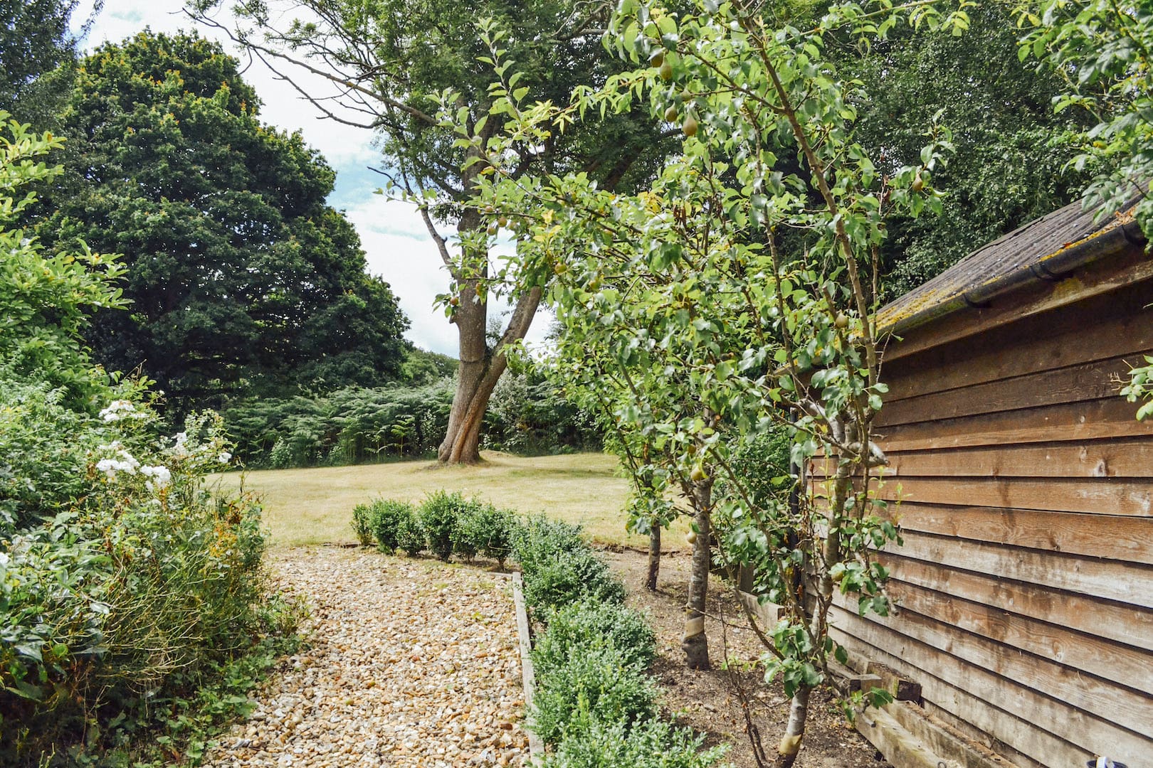 Ashlett Cottage United Kingdom