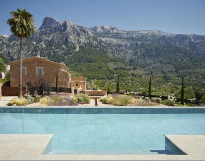 Baccha Deluxe Soller Spain