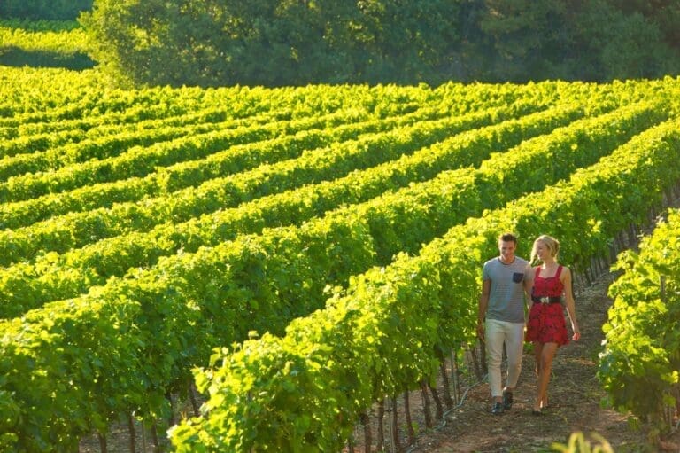 Top Ten Vineyards to Visit in Burgundy