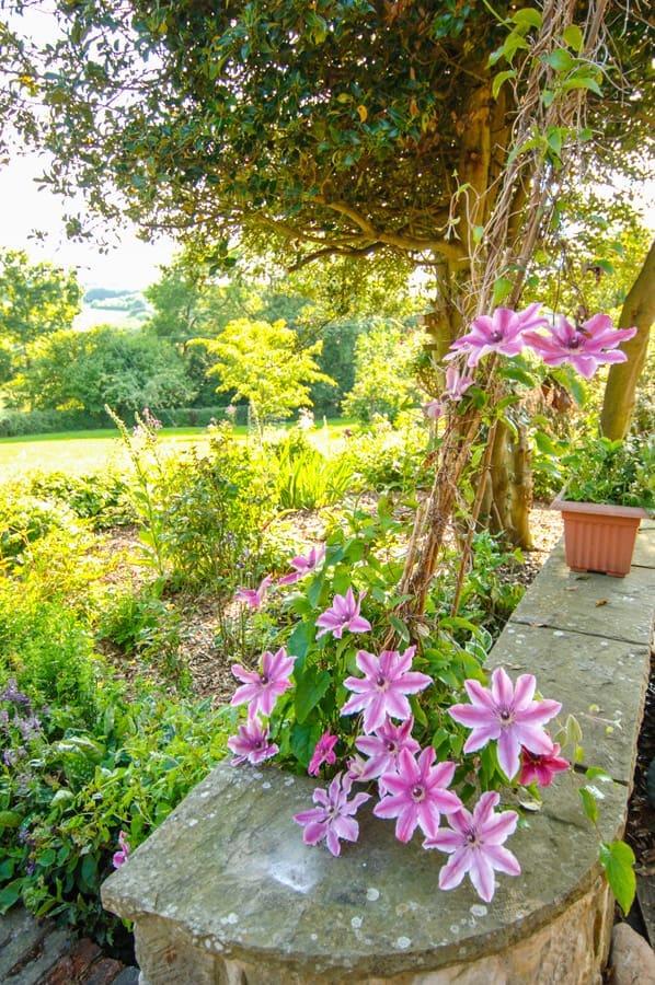 Burwash Cottage United Kingdom