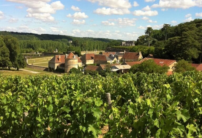 Rent Luxury Chateau Le Mans Loire Valley